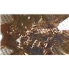 Image 3 : Navajo Sterling Copper Dragonfly Pendant Necklace