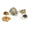 Image 1 : Native American Pottery Turtles