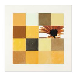 Original Florid Focus by Rider Original