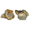 Image 1 : Clump of about four Dutch ducatoons (some partial) in a mass of encrustation (as found).