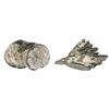 Image 1 : Small clump of about thirteen Dutch copper duits (Zeeland, 1752), encrusted.