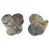 Image 1 : Small clump of ten Dutch copper duits (Zeeland, 1752), encrusted.