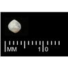 Image 1 : Small natural pearl, grade 1A, ex-Santa Margarita (1622).