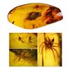 Image 1 : Baltic amber with preserved spider and flies, approx. 44 million years old, from Kaliningrad, Russia