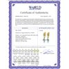 Image 2 : Genuine 4.1 ctw Aquamarine Earrings 14KT Yellow Gold - REF-49K2V