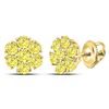 Image 1 : Round Color Enhanced Diamond Cluster Earrings 3/4 Cttw 10kt Yellow Gold