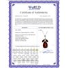 Image 2 : Genuine 6.5 ctw Garnet Necklace 14KT White Gold - REF-42X6M