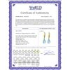 Image 2 : Genuine 4.6 ctw Blue Topaz & Diamond Earrings 14KT Yellow Gold - REF-30R2P