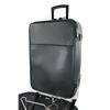 Image 1 : LOUIS VUITTON Pegase 55 Taiga Leather Rolling Suitcase