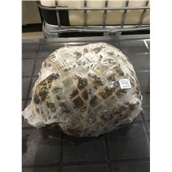 Oven Roasted Whole Chicken Breast Roast