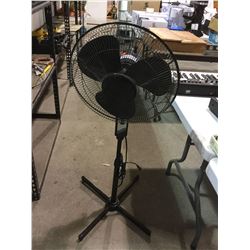 black oscilatingupright fan