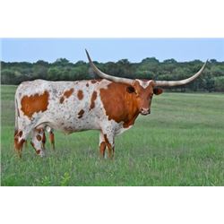 HELM TEMPTATION'S GLORY