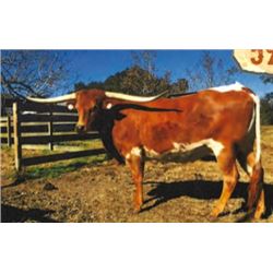 MAXIMUS'S MISS LINUS