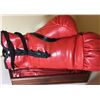 Image 3 : MIKE TYSON SIGNED RED EVERLAST BOXING GLOVE (JSA COA)