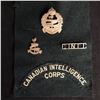 Image 1 : CANADIAN INTELLIGENCE BADGES