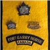Image 1 : Fort Garry Horse  Canadian Army Reserve armoured regiment BADGES