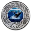 Image 1 : 2019 RCM 1/4 oz Ag $3 Celebrating Canadian Fun: Whale Watching