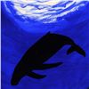 Image 2 : Wyland -"Whale" Framed Original Watercolor Painting, Hand Signed with Certificate of Authenticity.