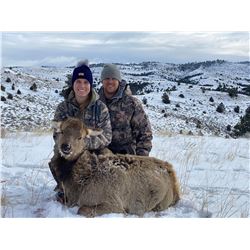 3 day WY Cow Elk hunt for 2 in WYO