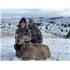 Image 1 : 3 day WY Cow Elk hunt for 2 in WYO