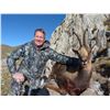 Image 5 : 4 Day Pyrenean Chamois Hunt for 1 Hunter-2020