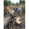 Image 12 : A  7 Day Moose or Mtn Goat hunt with Wicked River Outfitters for 2021
