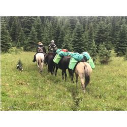 A  7 Day Moose or Mtn Goat hunt with Wicked River Outfitters for 2021