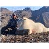 Image 4 : A  7 Day Moose or Mtn Goat hunt with Wicked River Outfitters for 2021