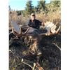 Image 7 : A  7 Day Moose or Mtn Goat hunt with Wicked River Outfitters for 2021