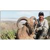 Image 3 : A free range West Texas Aoudad hunt for 1 hunter with Rowdy McBride.