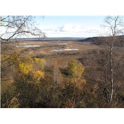 October 2020 brown bear hunt in AK for 1 hunter with Extreme Adventures Outfitters