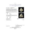 Image 5 : 1.31 ctw Diamond Ring - 18KT White Gold