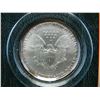 Image 2 : 2001 Silver American Eagle Littleton