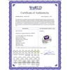 Image 2 : 5.61 CTW Amethyst Ring 14K White Gold - REF-77Y3X