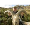 Image 1 : Western Caucasian (Kuban) Tur Hunt