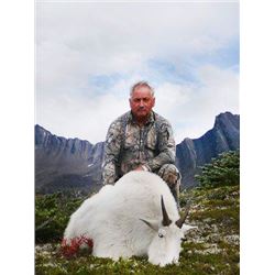 Mountain Goat Hunt in British Columbia