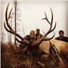 Image 2 : Alberta Elk Hunt