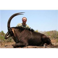 Sable Hunt with Limpopo Safaris