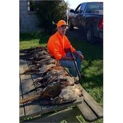 Four Wingshooter - Pheasant Hunt, 17 Pheasants and Lunch
