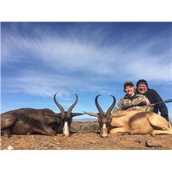 Kudu/Springbok Hunt + Cape Vacation for 2 Couples