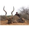 Image 2 : Kudu/Springbok Hunt + Cape Vacation for 2 Couples
