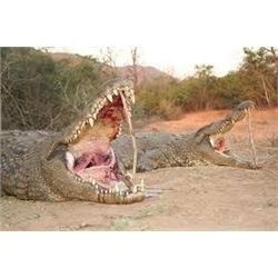 Crocodile Hunt on the Zambezi River, Cahorra Bassa, Mozambique