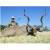 Image 1 : Trophy Kudu and Blue Wildebeest Safari for 2 Hunters and 2 Observers
