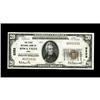 Iowa Falls, IA - $20 1929 Ty. 1 The First NB Ch. # 3252 Iowa Falls, IA