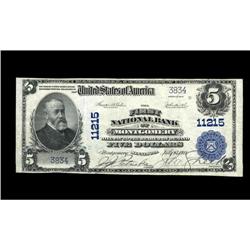 Montgomery, MN - $5 1902 Plain Back The First NB Montgomery, MN