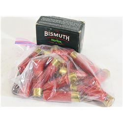 10 Shot Shells and Slugs