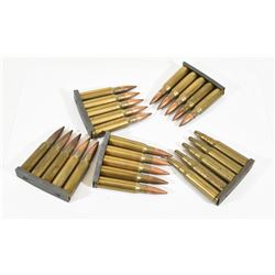 308Win Ammo and Blanks