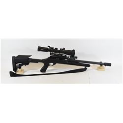 Ruger 10/22 Rifle
