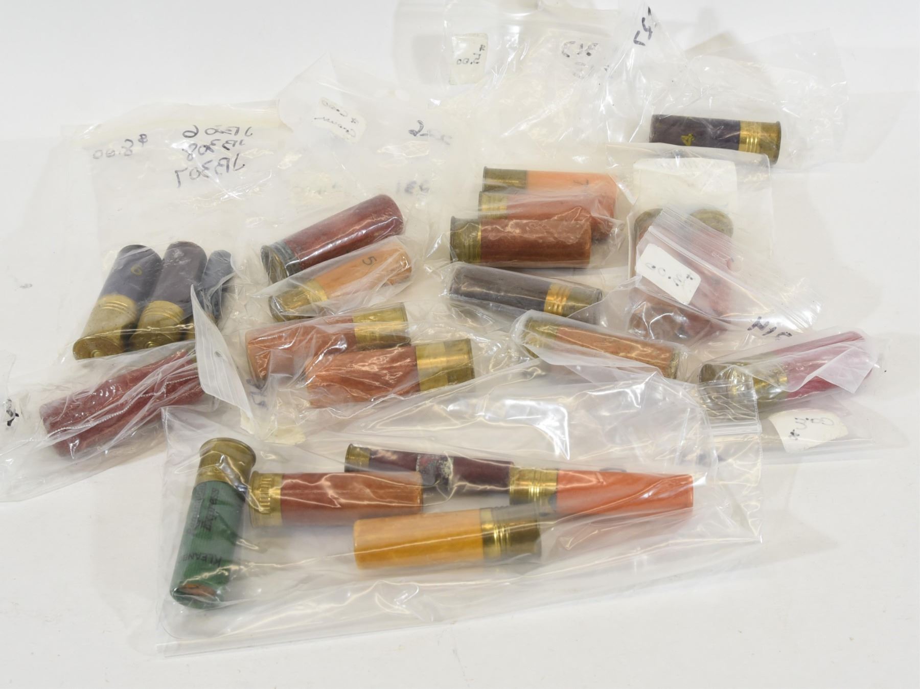 Box Lot Collectors Shells - Landsborough Auctions