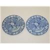 Image 1 : (2) 10 BLUE STAFFORDSHIRE PLATES-CORON